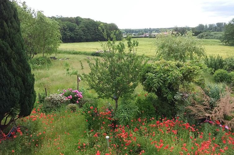 Appartement Schmetterling