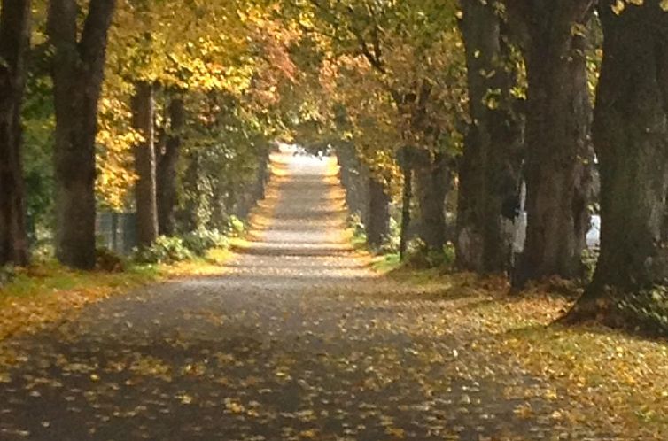 Appartement Gemütliches Apartment im Dachgeschoss