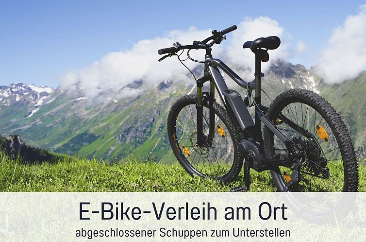 Guest house 03379601 - Apartment Bavaria - Appartement FeWo GRANAT