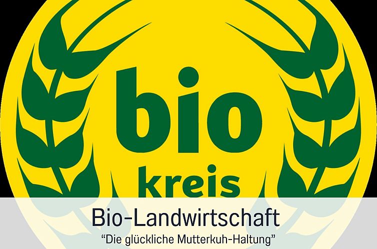 Appartement FeWo GRANAT