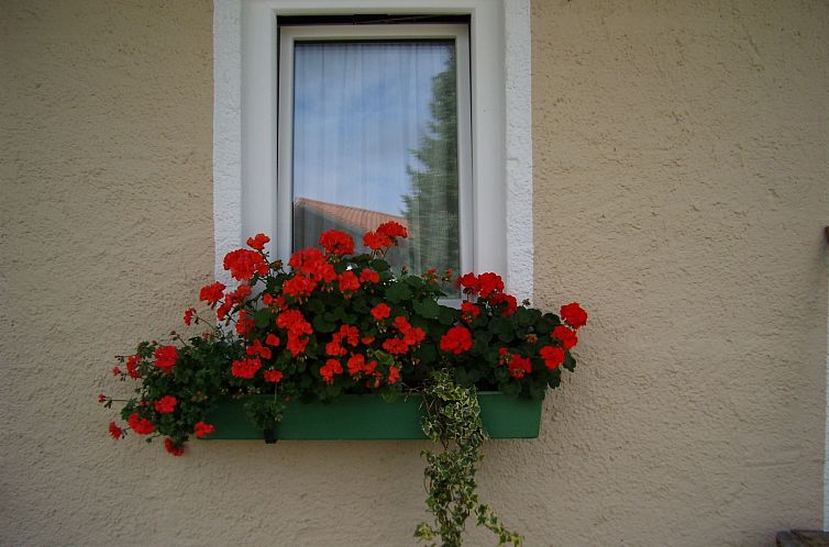 Vakantiehuis Betttis Bungalow