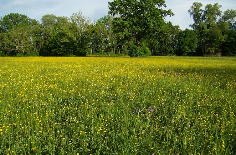 Vakantiehuis Betttis Bungalow