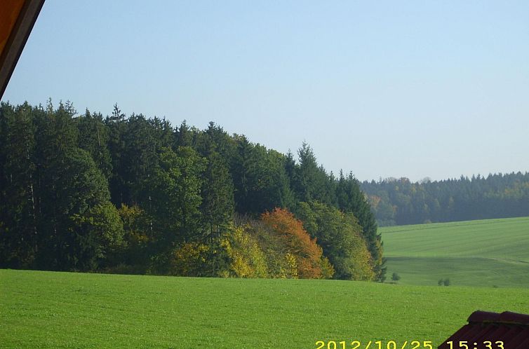 Appartement Wohnung in Oberwaldbach mit Garten und Grill