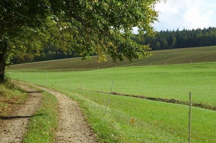 Appartement Wohnung in Oberwaldbach mit Garten und Grill