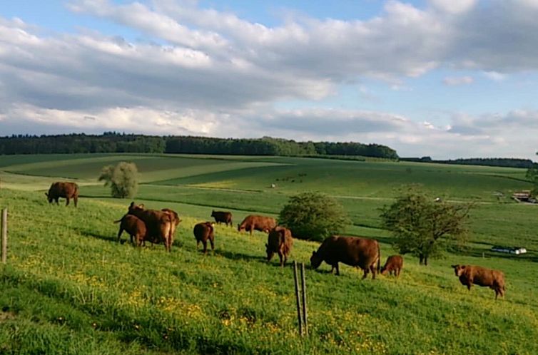 Appartement Schöne Ferienwohnung in Oberwaldbach