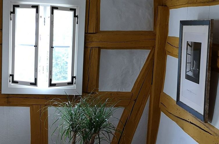 Vakantiehuis in Altstadt mit Grill, Garten und Terrasse