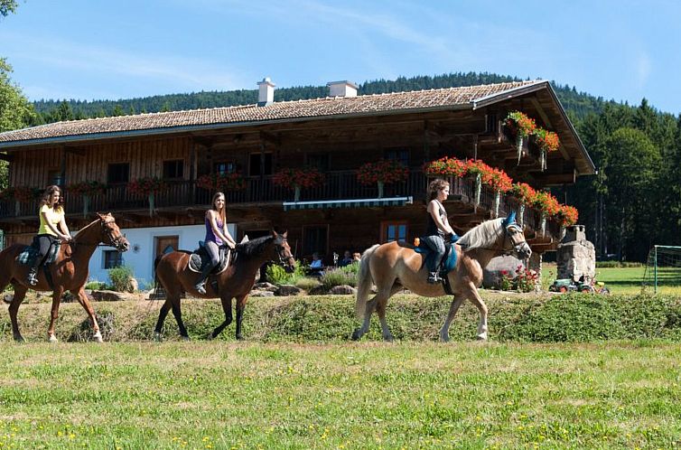 Vakantiehuis Woferlhof