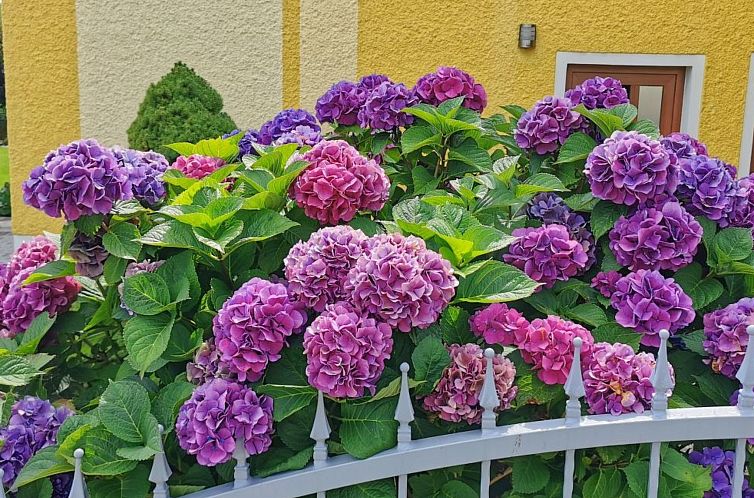 Appartement Simon in Gleißenberg