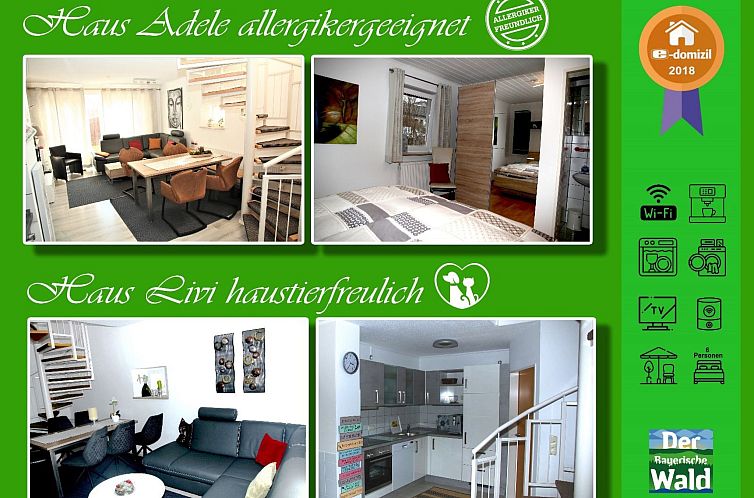 Vakantiehuis Livi