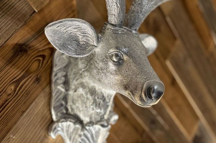 Vakantiehuis Zandtissimo79