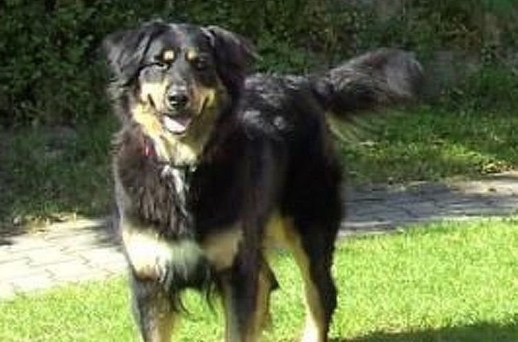 Vakantiehuis Schlossberg mit WLAN