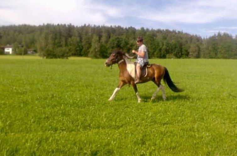 Vakantiehuis Schlossberg mit WLAN