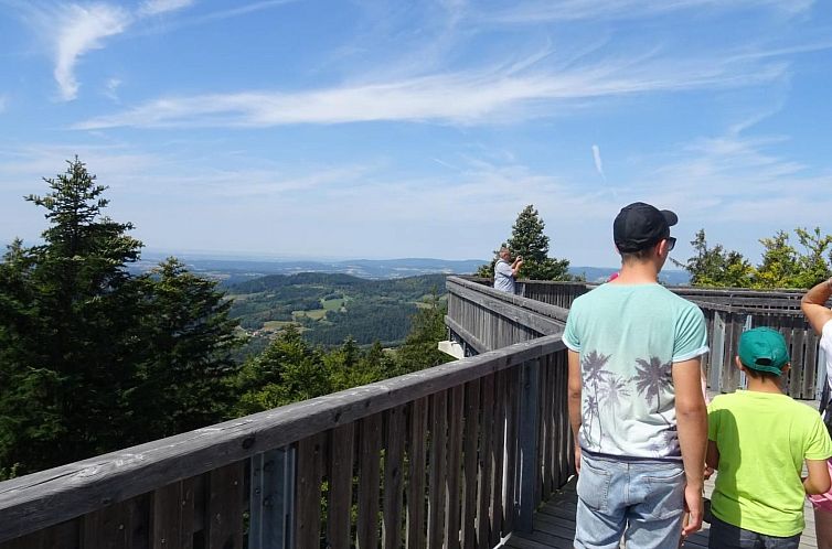 Vakantiehuis mit Sauna