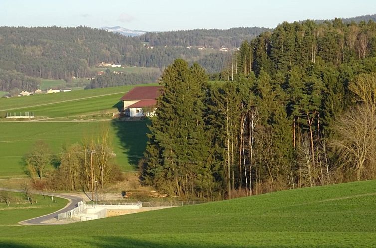 Vakantiehuis mit Sauna