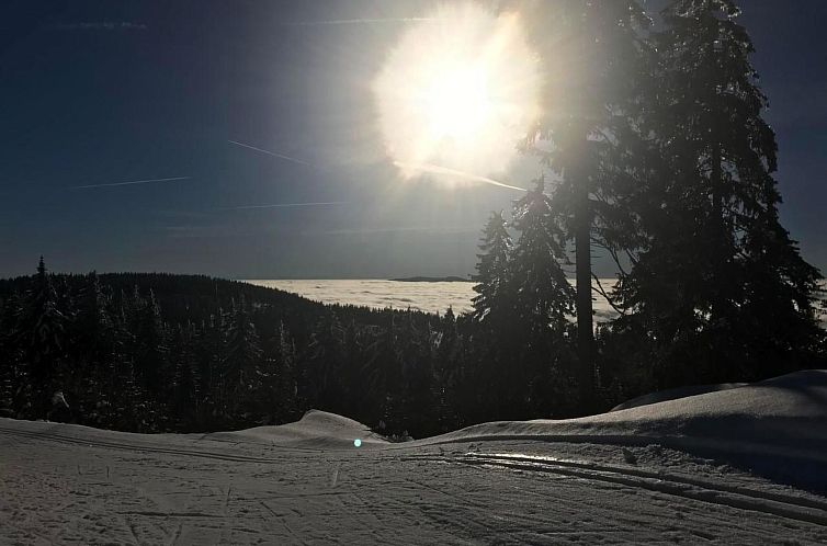 Vakantiehuis in Zandt mit Grill, Garten und Terrasse
