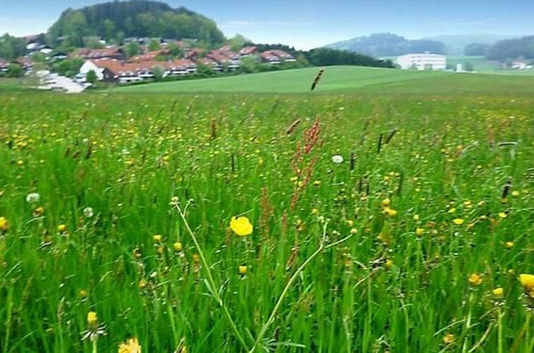 Appartement Appartement in Zandt mit Grill