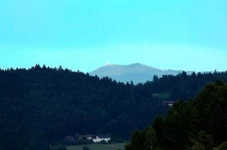 Appartement Appartement in Zandt mit Grill