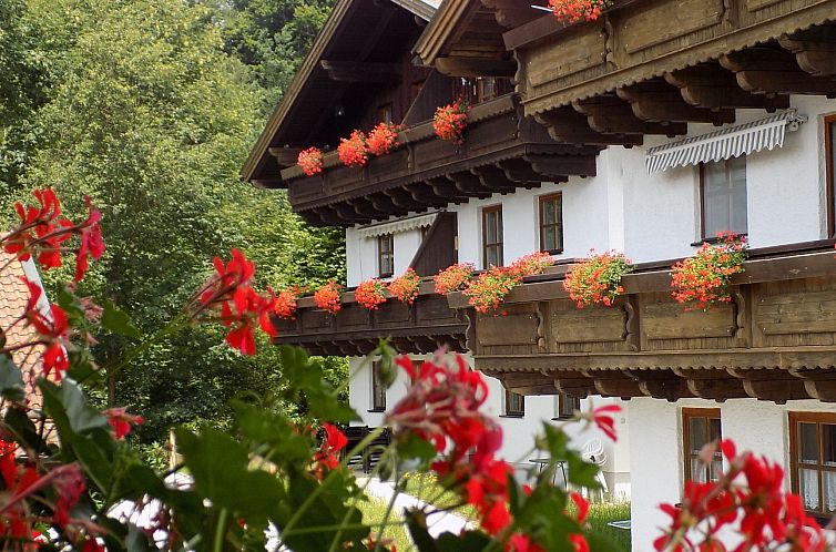 Appartement Wohnung mit möblierter Terrasse und Waldblick