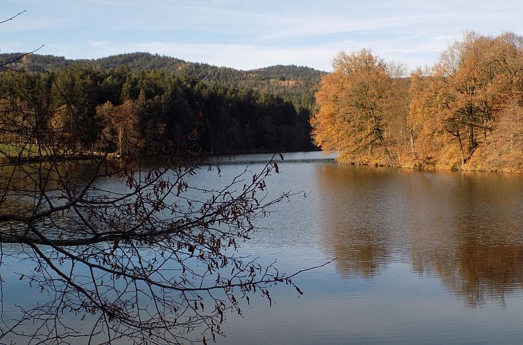 Appartement Wohnung mit möblierter Terrasse und Waldblick
