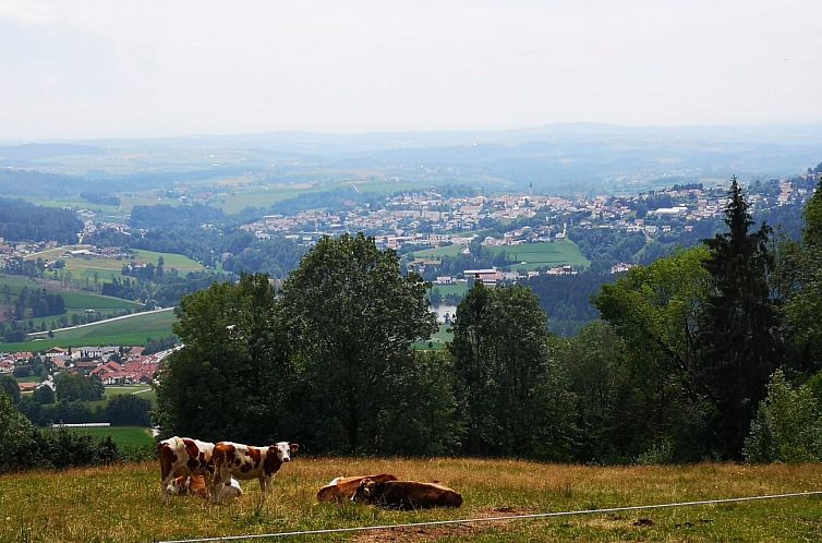 Appartement Wohnung mit möblierter Terrasse und Waldblick
