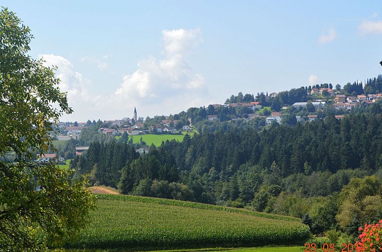 Appartement Wohnung Adalbert Stifter im Bayerischen Wald