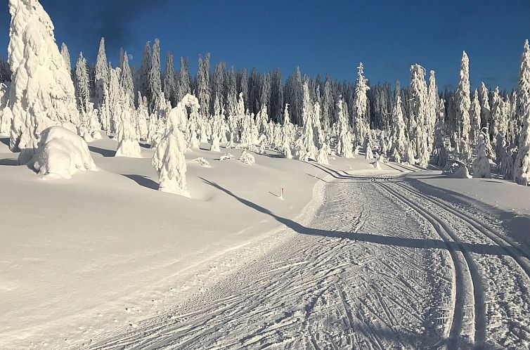 Appartement 2 Pers. inkl. Aqacur in Bad Kötzting