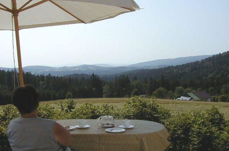 Vakantiehuis Haus Pleckenstein