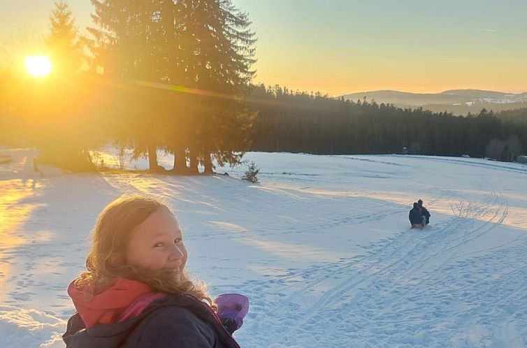 Vakantiehuis Haus Pleckenstein