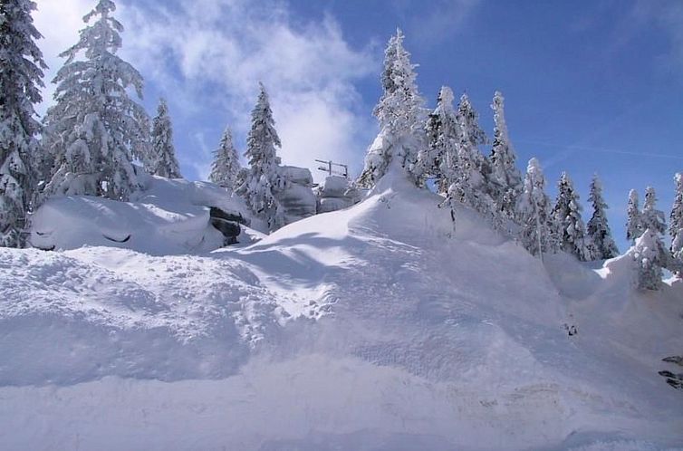 Vakantiehuis mit Kaminofen, Fitnessraum und Sauna