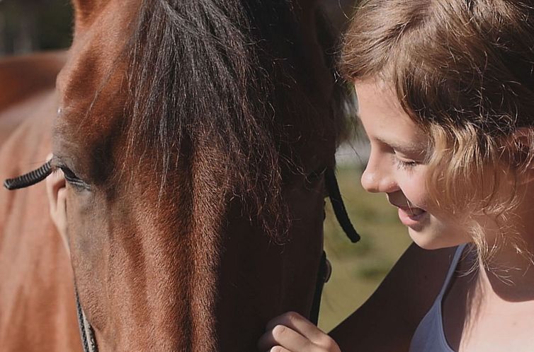 Appartement für 4 Personen im Bayerischen Wald
