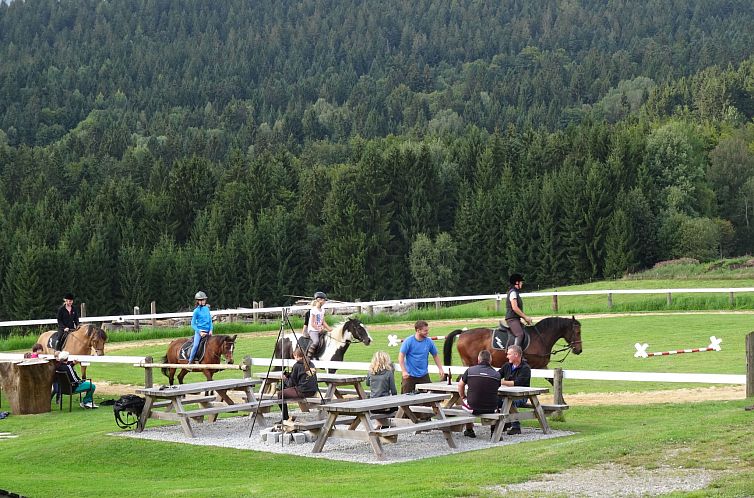 Vakantiehuis Uriges Blockhaus für 5 Personen