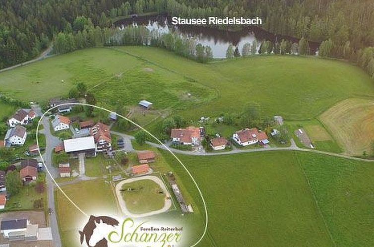 Vakantiehuis Uriges Blockhaus für 5 Personen