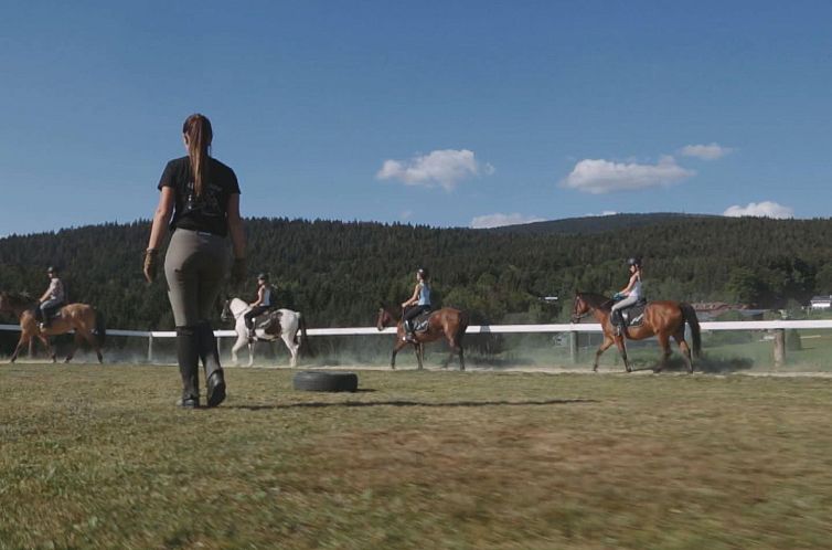 Appartement für 4 Personen im Bayerischen Wald