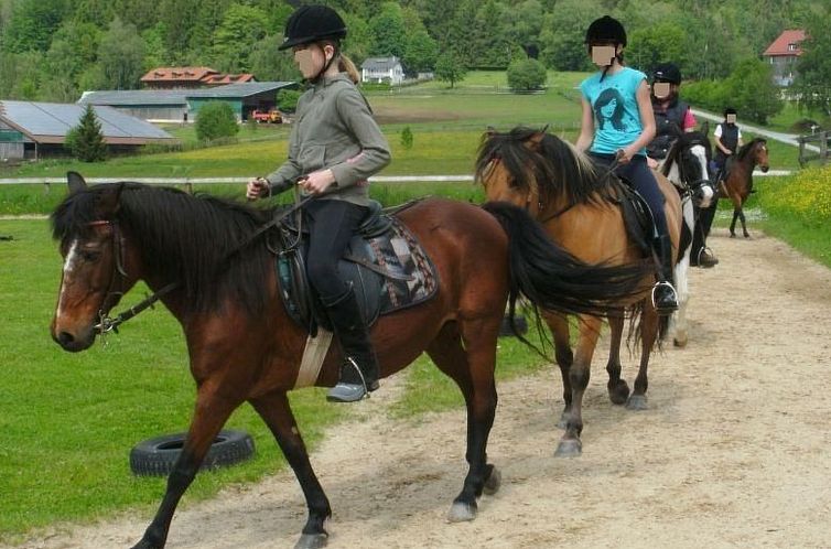 Appartement für 4 Personen im Bayerischen Wald