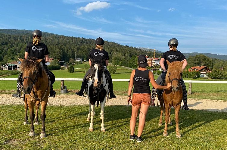 Appartement für 4 Personen im Bayerischen Wald