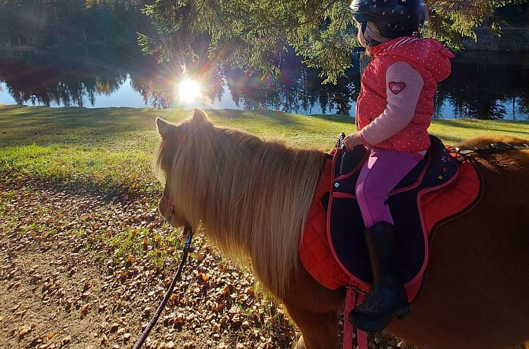 Appartement für 4 Personen im Bayerischen Wald
