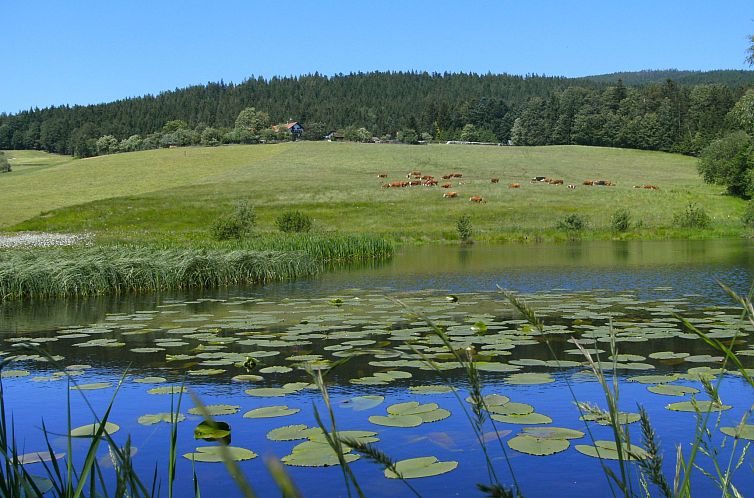 Appartement für 4 Personen im Bayerischen Wald