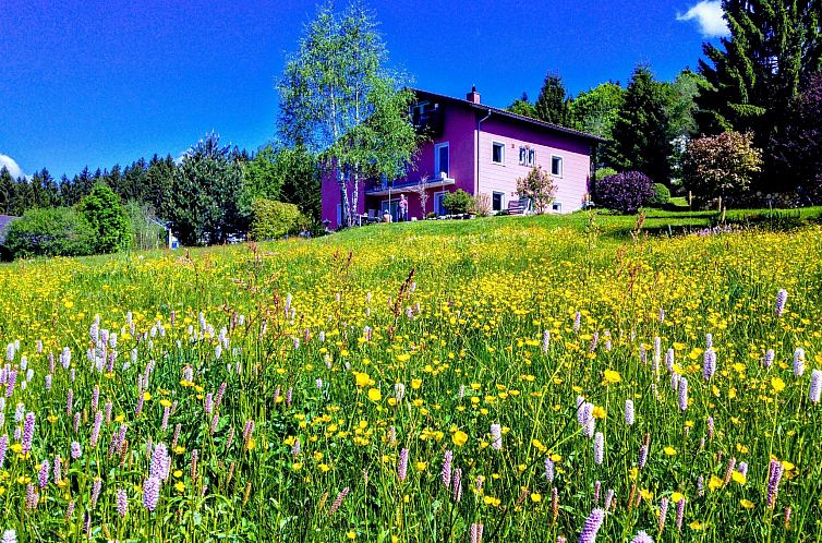 Appartement mit Bergblick