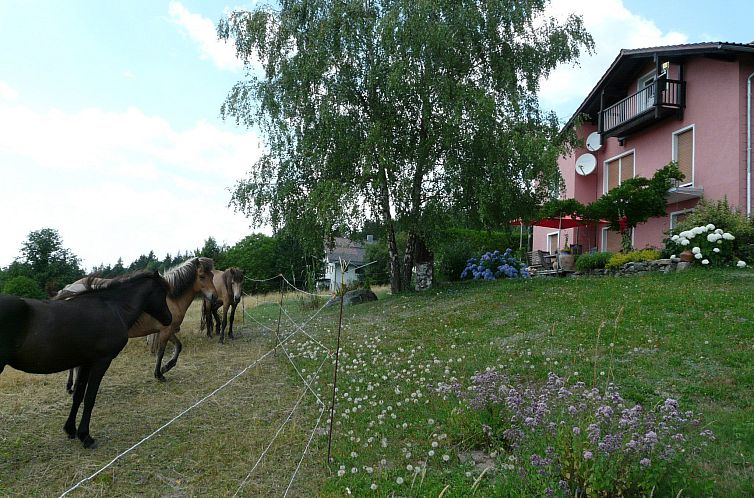 Appartement mit Bergblick