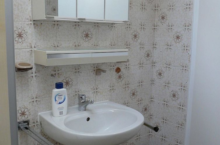 Appartement mit Bergblick