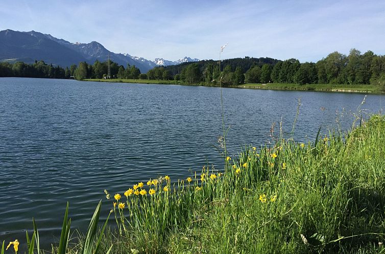 Appartement Fewo Bergblick lodge