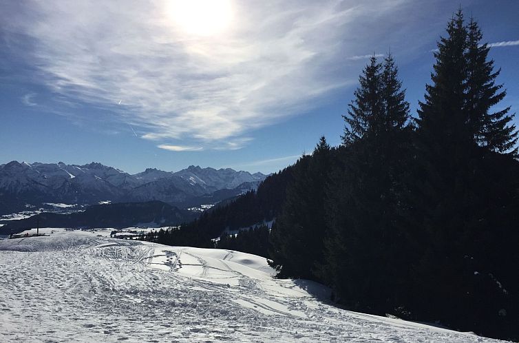 Appartement Fewo Bergblick lodge