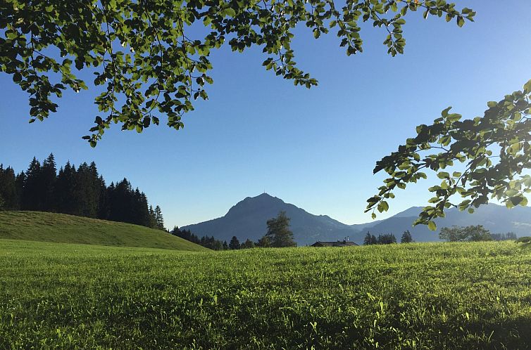 Appartement Fewo Bergblick lodge