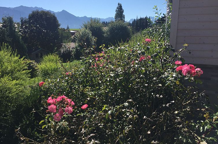 Appartement Fewo Bergblick lodge