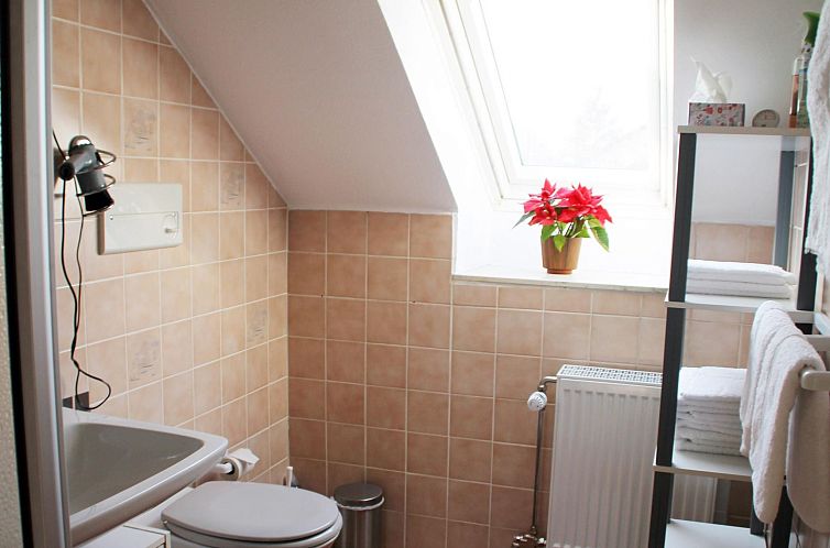 Appartement mit Terrasse