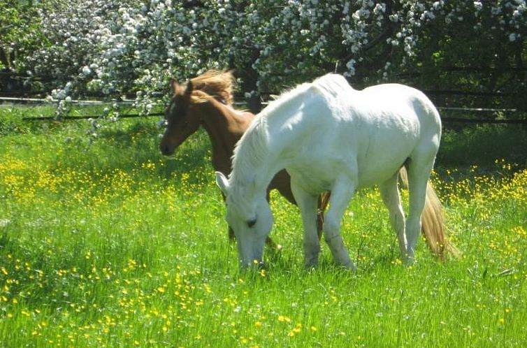 Vakantiehuis mit Terrasse und Parkplatz