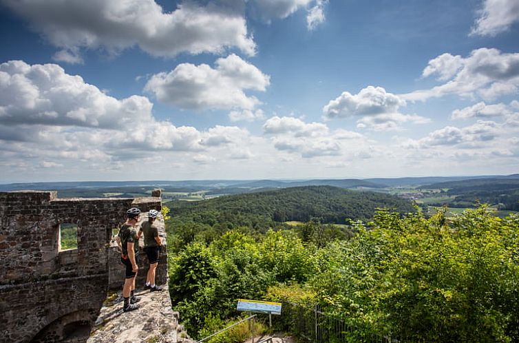Vakantiehuis in Stadtlauringen