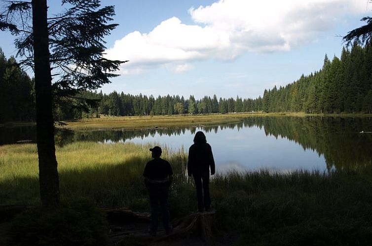 Vakantiehuis in Geiersthal