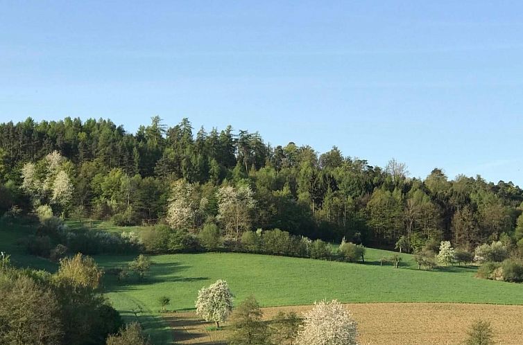 Appartement Appartement Spessart-Romantik