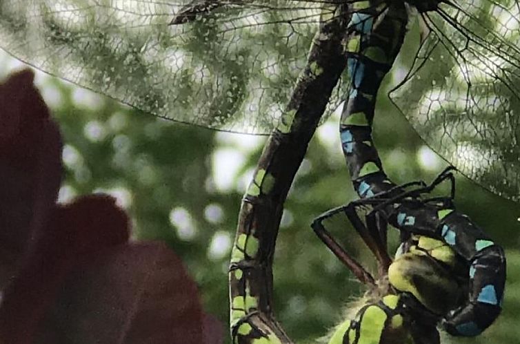 Appartement Appartement Spessart-Romantik